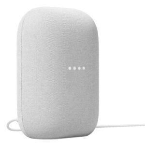 Google Nest Mini (2nd Gen)